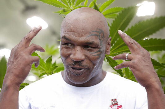 Mike Tyson di kebun ganja miliknya (Photo Vice.com)