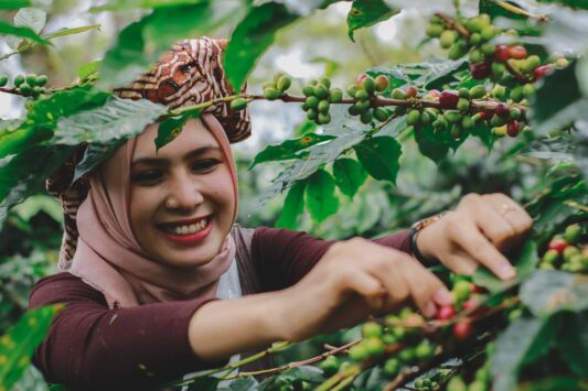 Oya Presenter TVRI Banda Aceh ikut meriahkan Festival Panen Kopi Gayo 2018. (Foto Breedie/Fauzan My)