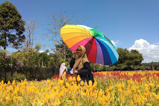Pengunjung memakai payung berpose dengan latar belakang bunga Celosia. (Foto Breedie/U Rahma)