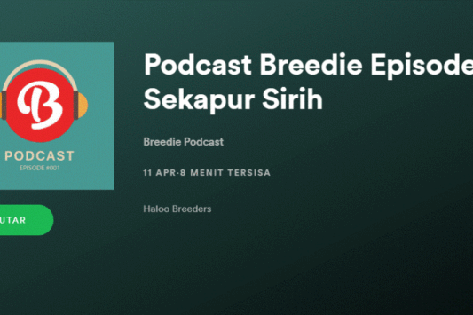 Podcast Breedie Episode 1 @spotify