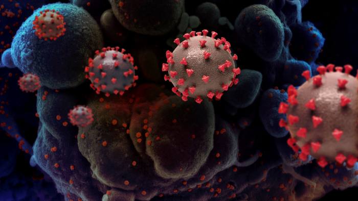 Ilustrasi varian baru virus corona. (@ft.com)