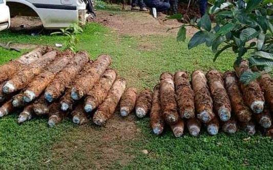 Ratusan bom sisa Perang Dunia kedua di Kepulauan Solomon. (Foto: The Guardian.)