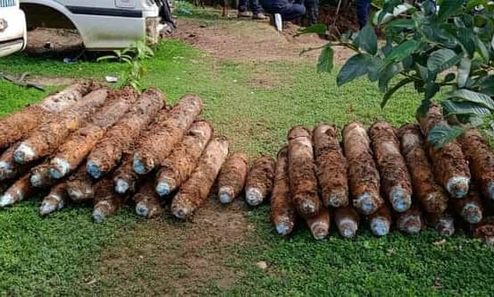 Ratusan bom sisa Perang Dunia kedua di Kepulauan Solomon. (Foto: The Guardian.)