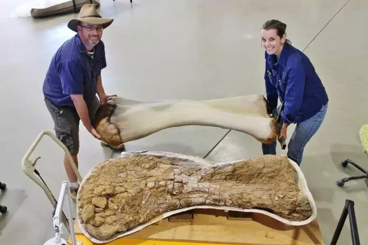 Scott Hocknull dan Robyn Mackenzie berpose dengan rekonstruksi 3D dan tulang humerus Australotitan cooperensis. Foto: Eromanga Natural History Museum Handout via Reuters
